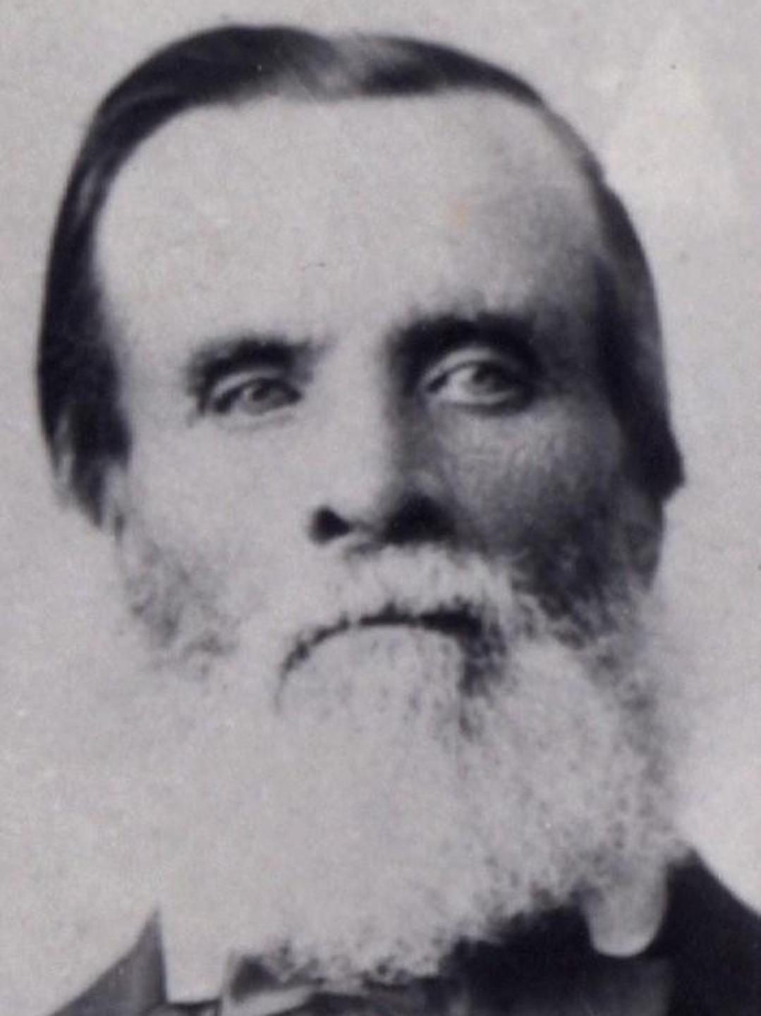 William Simpson Cook (1827 - 1915) Profile